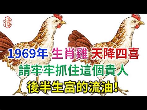 1969年生肖五行|生肖雞：1969年是什麼命？